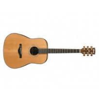 IBANEZ AW3050 LG akustična kitara